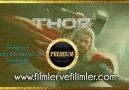 Thor - Premium Parodi