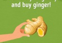 Throw Everything Away and Buy Ginger!