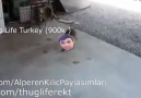 Thug Life Turkey'in Video Çalma İşlemi