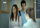 Tilki ve Aylin´in ilk Okul Günü