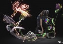 Tilt Brush lets you paint in 3D space with virtual reality.