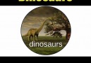 Time to learn more about dinos.By Lucidchart