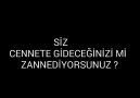 Timurtaş Uçar Hoca - Yılbaşı Belası - Mehdi Mustafayev