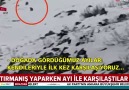 Tırmanış yaparken ayı ile karşılaştılar