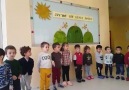 Tırtıllarımız