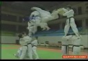 TKD - FLY DWIT CHAGI ≈ (TAEKWONDO TEAM)