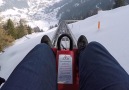 Toboggan through the Swiss wilderness!