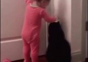 Toddler uses the cat to open the door. Visit