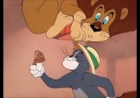 Tom & Jerry and the Lion