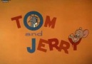 Tom And Jerry Em Mouse In Scape (1962) Novo  Cartoon Nertork 2005