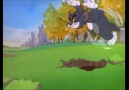 Tom and Jerry Playing Golf