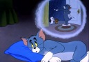 Tom and Jerry series - Tom and Jerry Tom&kindness Facebook