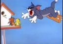 Tom and Jerry The flying cat