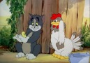 Tom and Jerry - Tom And Jerry Lovers