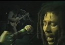 Tomas Gimeno - Bob marley- jammin en vivo! Facebook