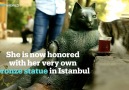 Tombili the Cat’s legacy set in bronze