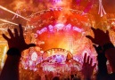 Tomorrowland - Tomorrowland 2017 Aftermovie Facebook