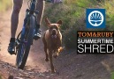 Tom & Ruby - Summertime Shred