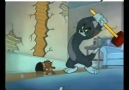 Tom ve Jerry dublaj D