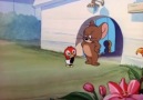 Tom ve Jerry 1. Sezon 41. Bölüm İzle