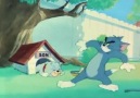 Tom ve Jerry 1. Sezon 44. Bölüm İzle