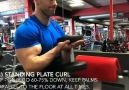 Top 5 Biceps Exercises credits- Renshaws Personal Training