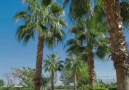 TOPCU GROUP - Belek Golf Village!