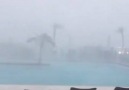 Tornado hidden in the rain macroburst in Florianapolis Brazil on March 12 2017