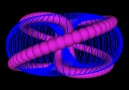 Torus - Go with the torus flow...