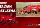 Toscano - TOSCANO - İtalyan Patlatma Facebook