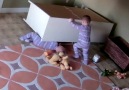 Touching video shows toddler rescuing twin