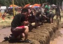 Tough Mudder - Synchronized shock therapy Facebook