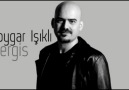 Toygar Işıklı — Nergis