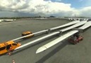 Transport of the World Largest Wind Turbine Blades