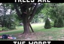 Trees Are The Worst