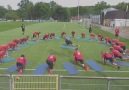 Trening Core stability (stabilno oglna) w wykonaniu zespou 1.FC KAISERSLAUTERN