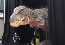 T-Rex anamatrnico gigante fuera de BBC Creado por Creatures Technology Co