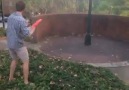 Tricksss