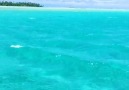Tropical Paradise Aitutaki Island In Cook Islands & IG
