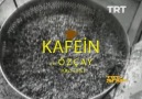 TRT Arşiv - Kafein ve Özçay Üretimi Facebook