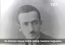 TRT Arşiv - Peyami Safa