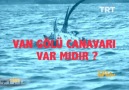 TRT Arşiv - Van Gölü Canavarı Facebook