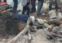 TRT Haber - Van&depremin yaraları sarılıyor Facebook