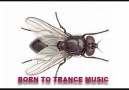 T.TRANCE - FOREVER