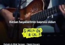 Tülay Koç -