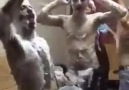 Tüm zamanların en garip ortamı