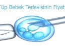 Tüp Bebek Tedavisinin Fiyatı