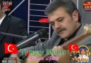 Turgay MUTLU (Yaban Gülü)