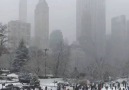 Turizm.Az - New York Central Park