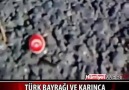 Türk Bayrağı ve Karınca